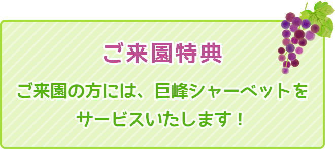 ご来園特典 ご来園の方には、巨峰シャーベットをサービスいたします！