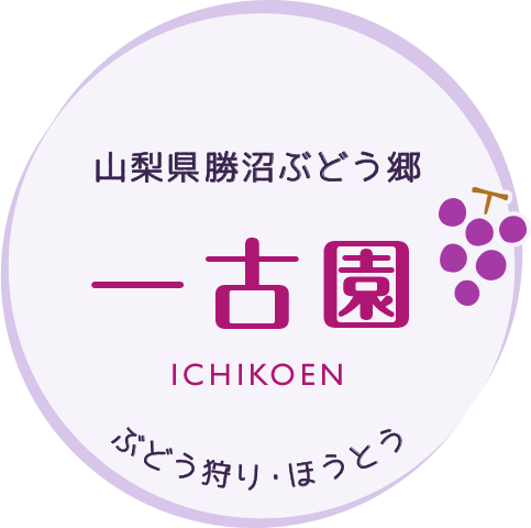 山梨県勝沼ぶどう郷 一古園 ぶどう狩り・ほうとう