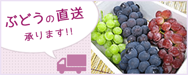 ぶどうの直送