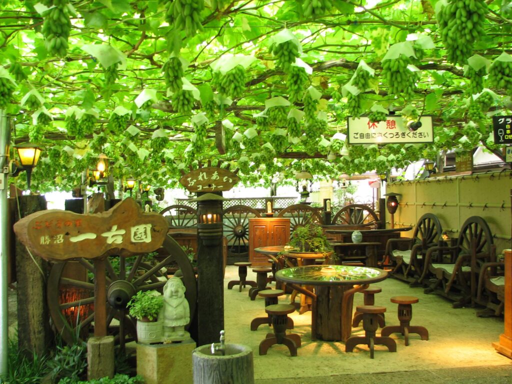 Inside the park