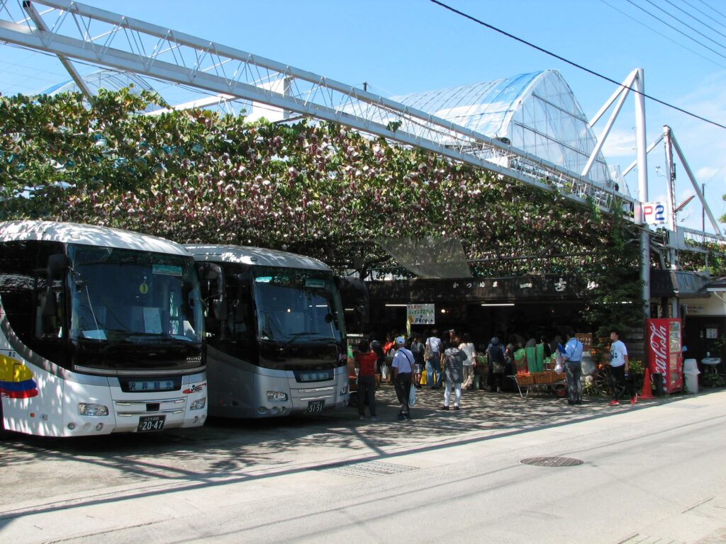 Inside the park