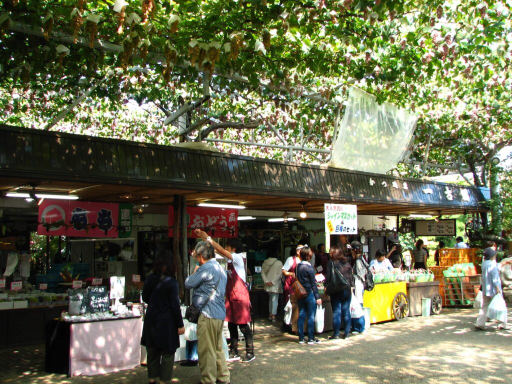 Inside the park