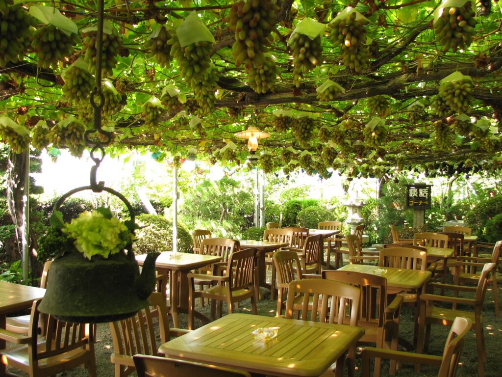 Inside the park