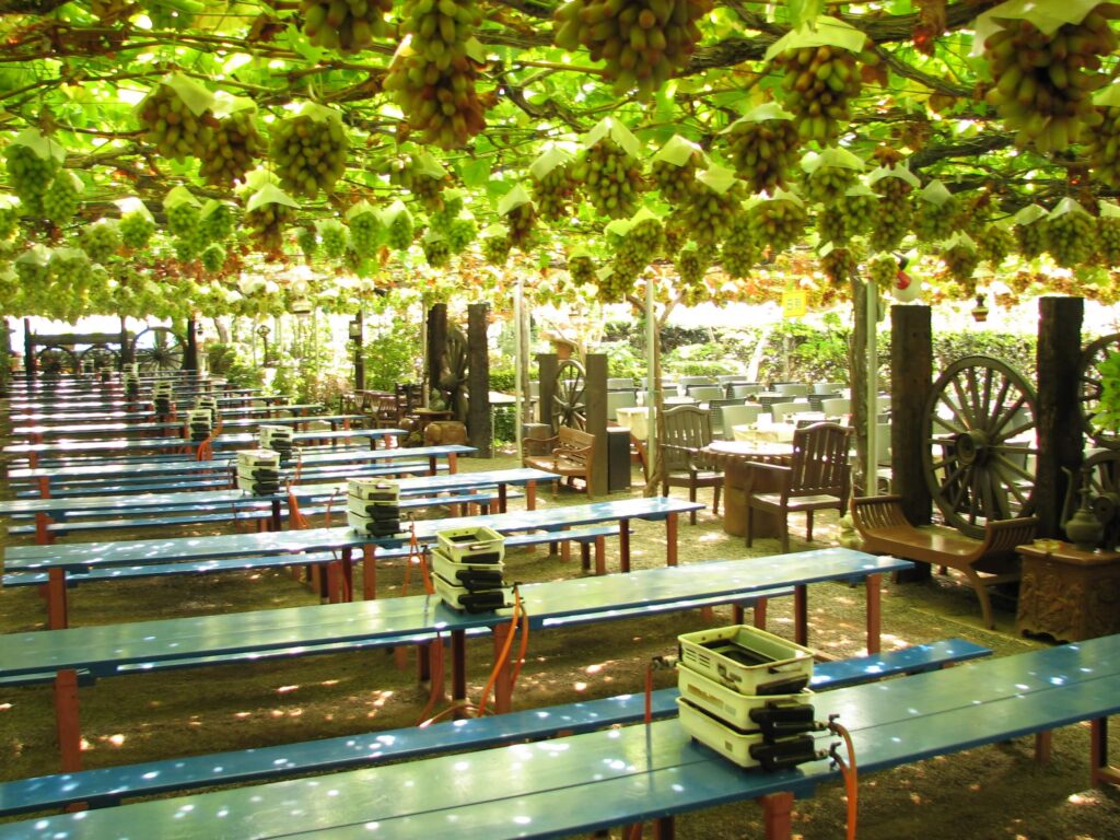 Inside the park