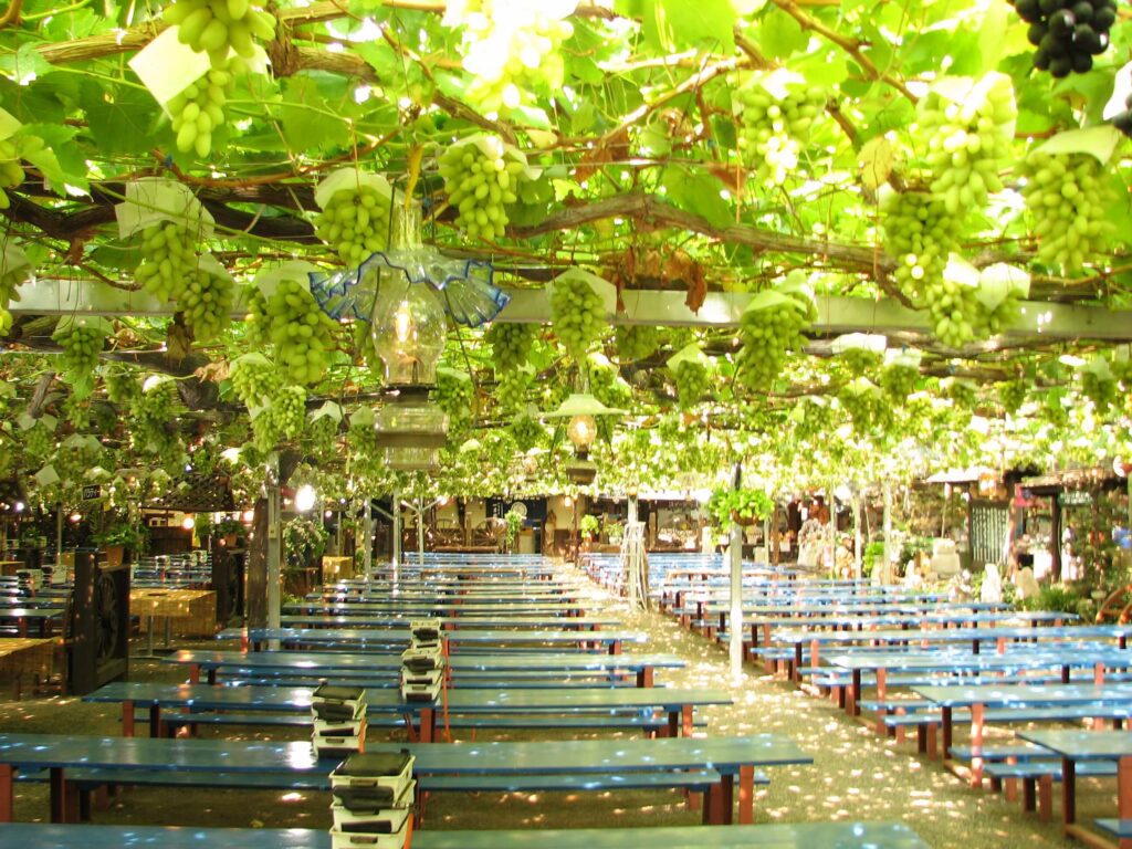 Inside_the_park
