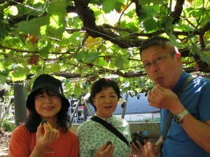 IMG_9429-1