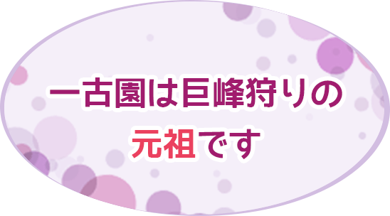 ganso