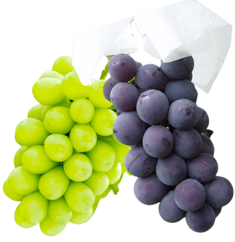 grapes